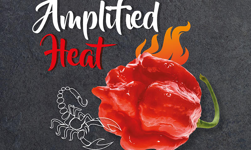 Snack Concept - Amplified Heat
